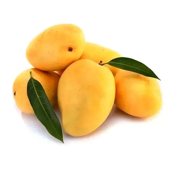 Kesar_Mango_Organic_Plant_Ornamental