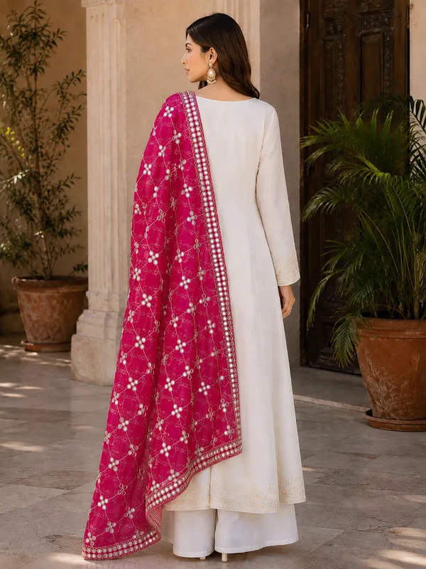 Women_Rani_Pink_Trill_Net_Mirror_Work_Embroidered_Dupatta
