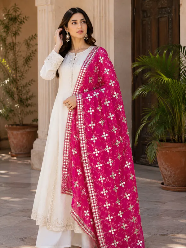 Women_Rani_Pink_Trill_Net_Mirror_Work_Embroidered_Dupatta