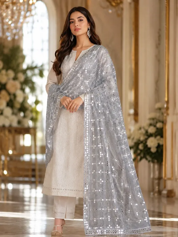Women_Silver_Grey_Trill_Net_Mirror_Work_Embroidered_Dupatta