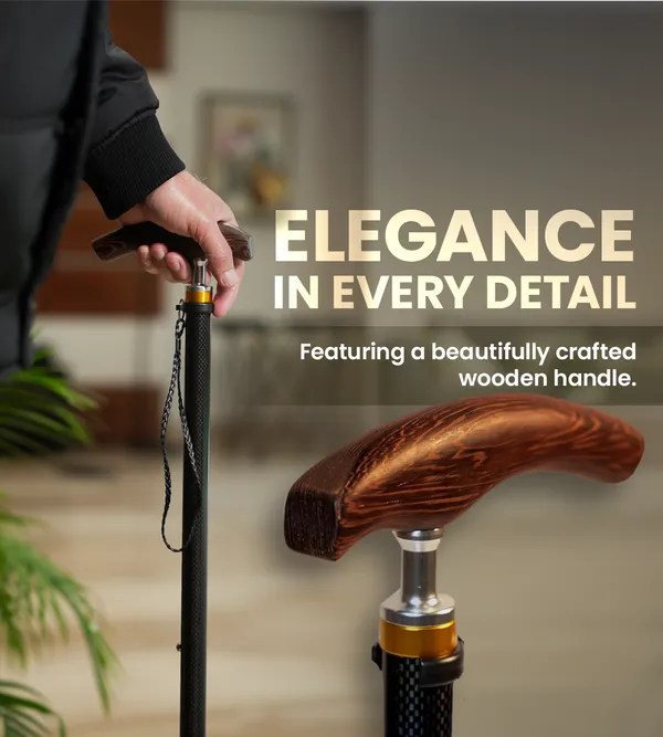 Ageasy_Pivot_Explorer_Carbon_Walking_Stick