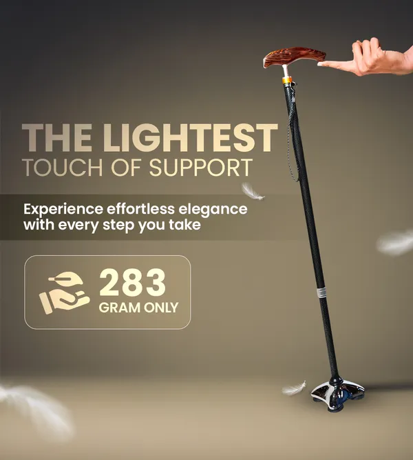 Ageasy_Pivot_Explorer_Carbon_Walking_Stick