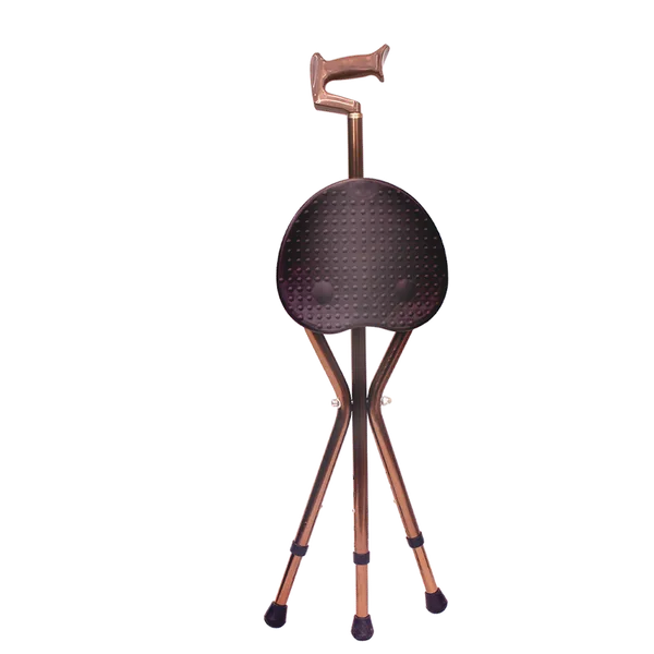 Ageasy_Walk_And_Rest_Walking_Stick_For_Seniors