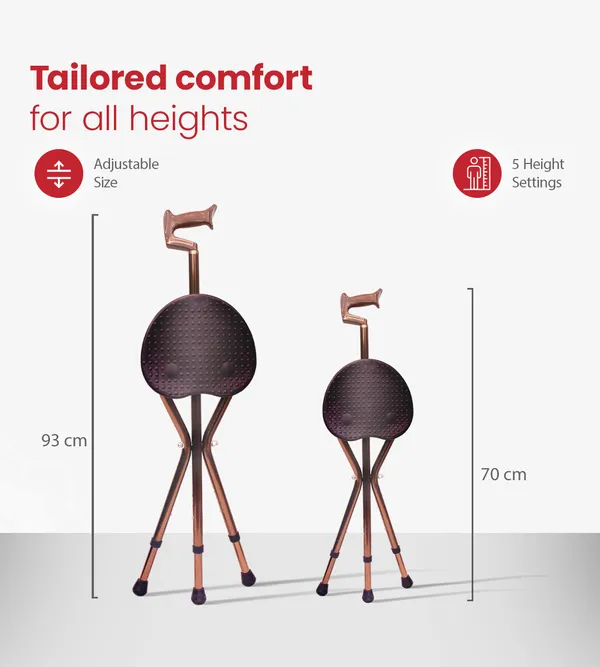 Ageasy_Walk_And_Rest_Walking_Stick_For_Seniors