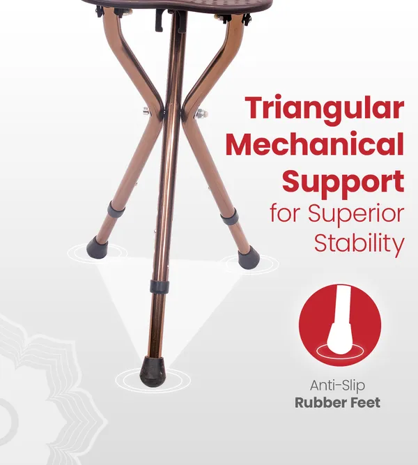 Ageasy_Walk_And_Rest_Walking_Stick_For_Seniors