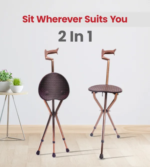 Ageasy_Walk_And_Rest_Walking_Stick_For_Seniors