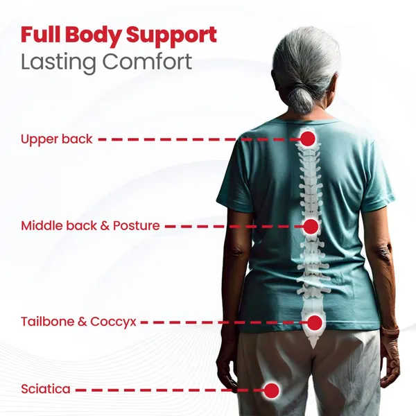 Lumbar_Coccyx_Back_Support_Combo_By_Ageasy