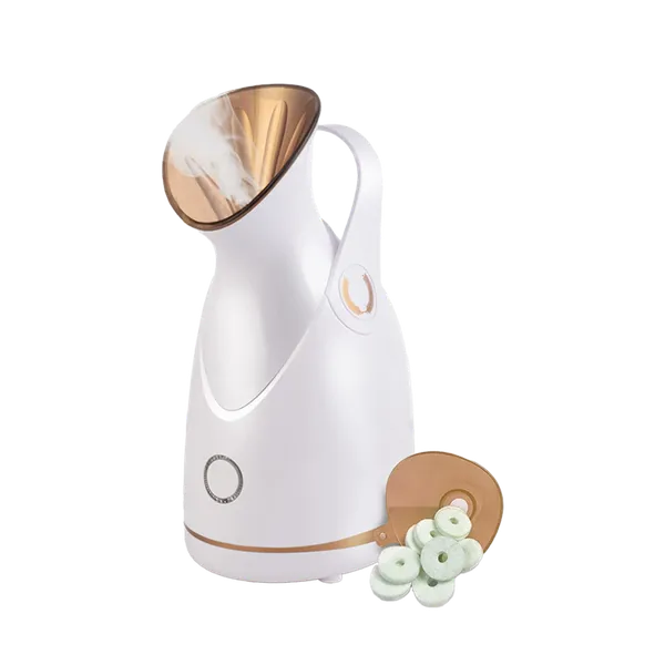 Ageasy_Advanced_Multi_Functional_Steamer