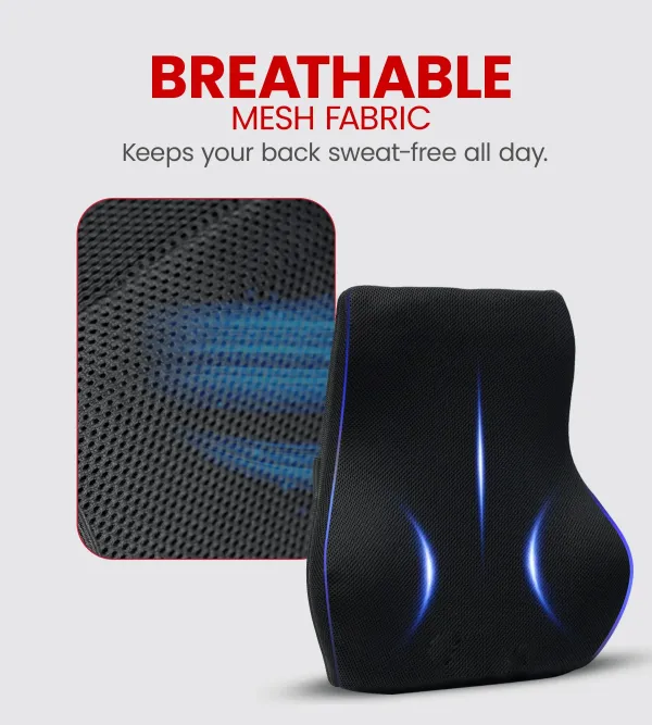 Ageasy_Lumbar_Back_Support