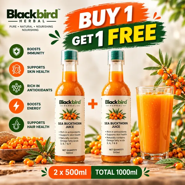 Buy_1_Get_1_Free_Sea_Buckthorn_Juice_500ml_+_500ml_|_Omega_3_6_7_9_Rich_Superfruit_|_High_Vitamin_C_|_Immunity_Booster_|_Skin_&_Hair_Health_Drink