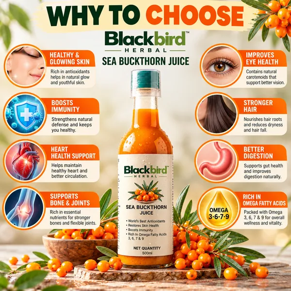 Buy_1_Get_1_Free_Sea_Buckthorn_Juice_500ml_+_500ml_|_Omega_3_6_7_9_Rich_Superfruit_|_High_Vitamin_C_|_Immunity_Booster_|_Skin_&_Hair_Health_Drink