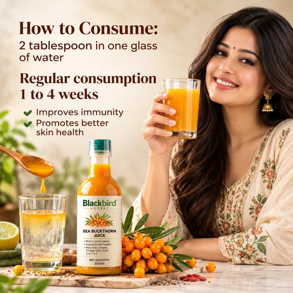 Buy_1_Get_1_Free_Sea_Buckthorn_Juice_500ml_+_500ml_|_Omega_3_6_7_9_Rich_Superfruit_|_High_Vitamin_C_|_Immunity_Booster_|_Skin_&_Hair_Health_Drink