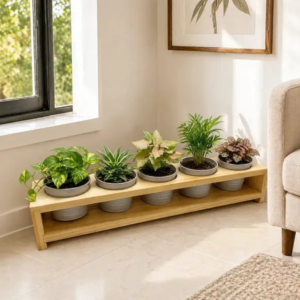 Pine_Wood_Indoor_5_Piece_Planter_Set