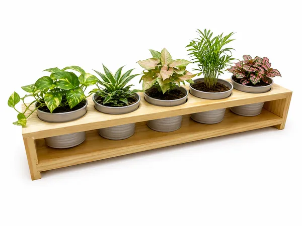 Wooden_5_In_1_Planter_Stand_Set_With_Metal_Planters