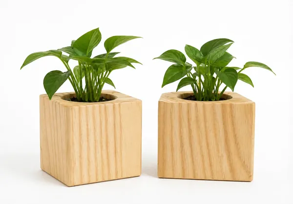 Wood_Finish_Square_Planter_Pots