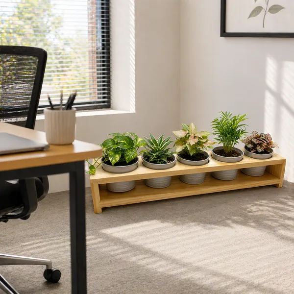 Wooden_5_In_1_Planter_Stand_Set_With_Metal_Planters