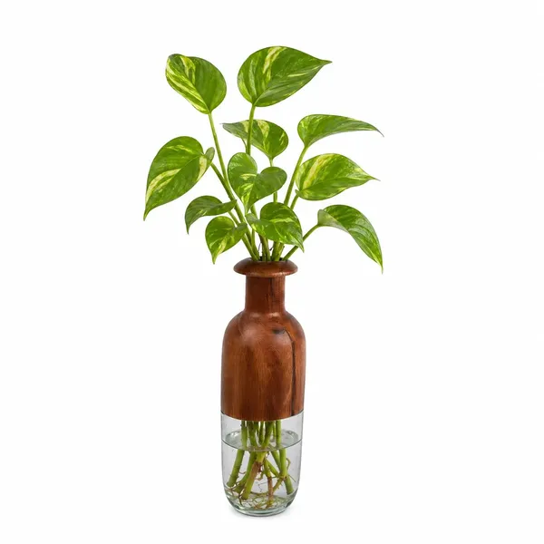 Wood_And_Glass_Decorative_Vase