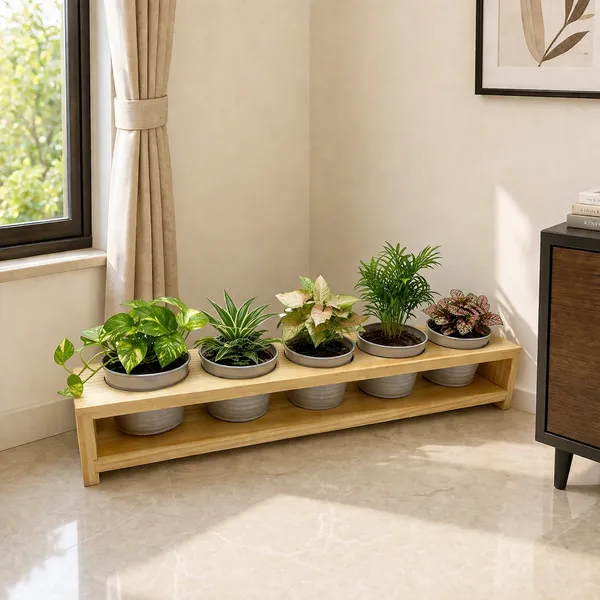 Pine_Wood_Indoor_5_Piece_Planter_Set