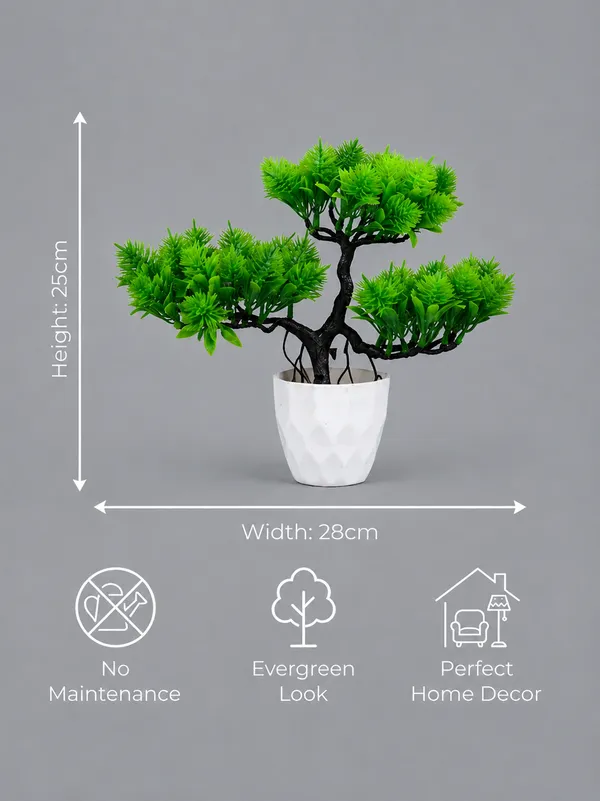 Plastic_Decor_Green_Evergreen_Bonsai_Artificial_Plant_With_Pot_Pack_Of_2