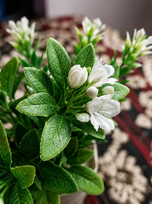Plastic_Decor_White_Green_Foliage_Artificial_Plant_With_Pot_Pack_Of_2