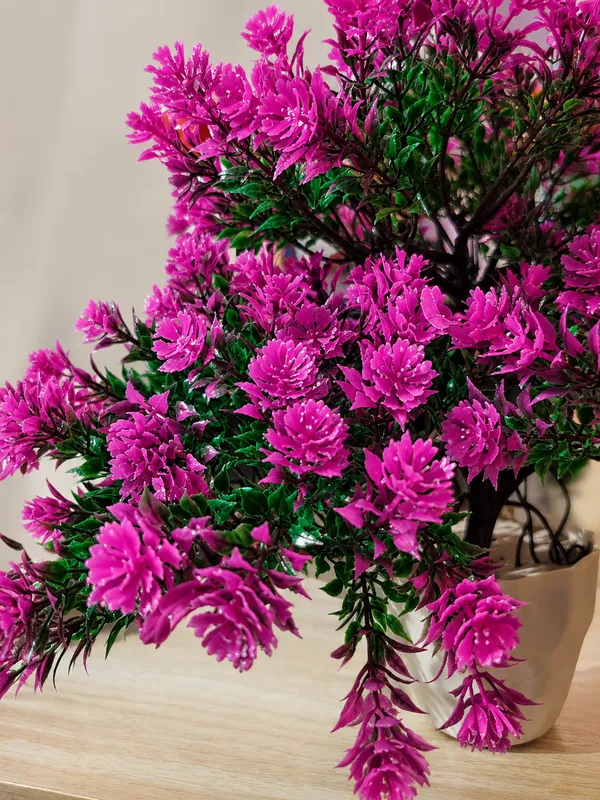 Plastic_Decor_Magenta_Blossom_Potted_Artificial_Plant_Pack_Of_2