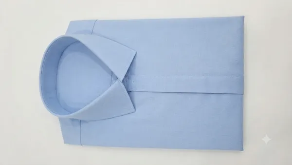 Light_Blue_Cotton_Formal_Shirt_For_Men
