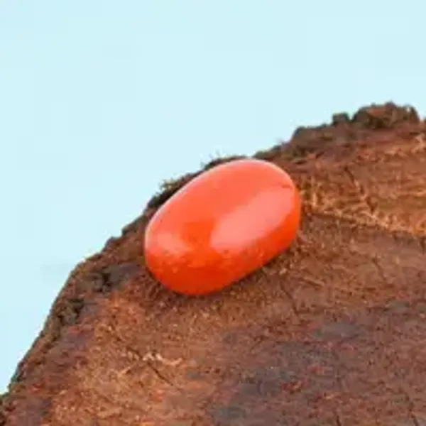 Coral_Moonga_Natural_Gem_Stone_For_Unisex