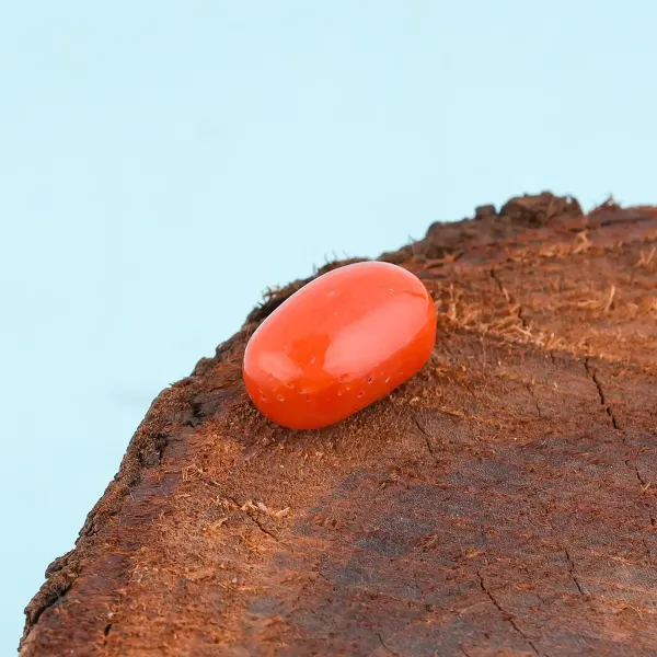 Coral_Moonga_Natural_Gem_Stone_For_Unisex