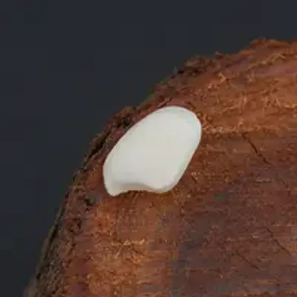 Machch_Mani_Natural_Gem_Stone_For_Unisex