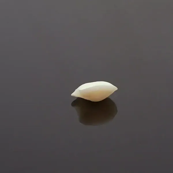 Machch_Mani_Natural_Gem_Stone_For_Unisex