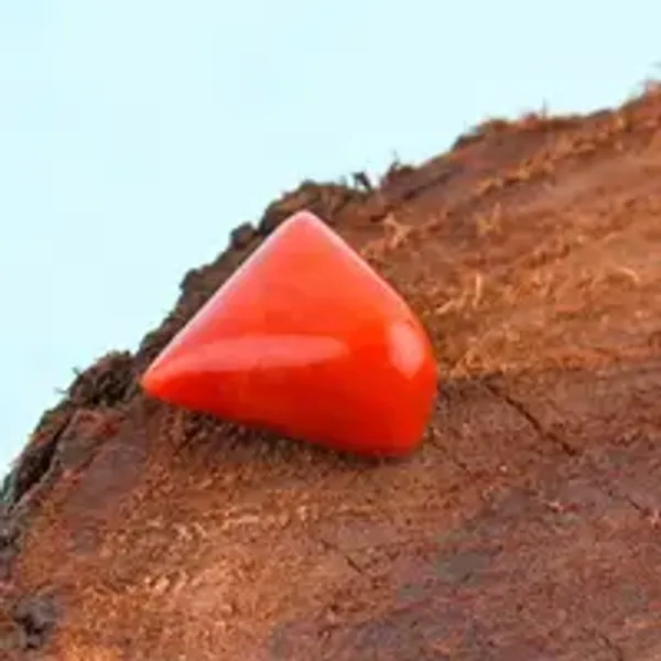 Coral_Munga_Natural_Gem_Stone_For_Unisex