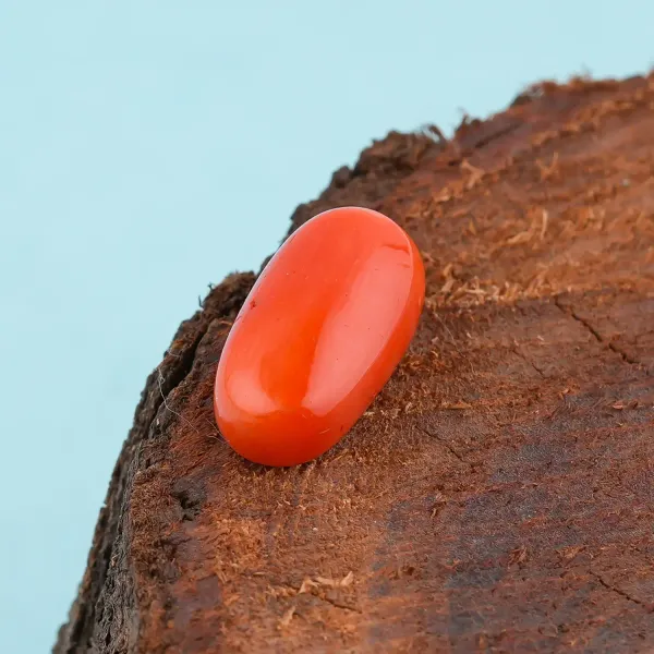 Coral_Munga_Natural_Gem_Stone_For_Unisex