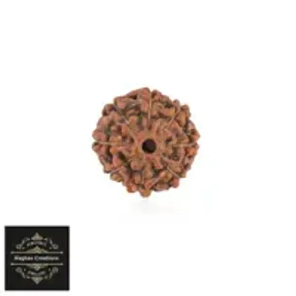 Natural_Certified_8_Face_Rudraksh_Certificate_Number_487001