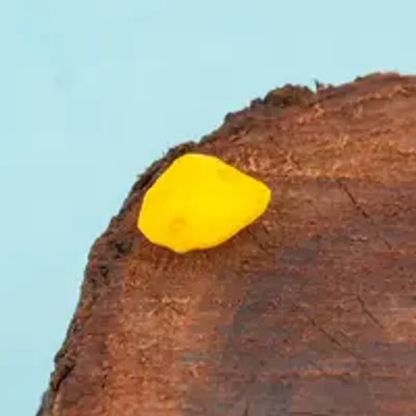 Machch_Mani_Natural_Gem_Stone_For_Unisex