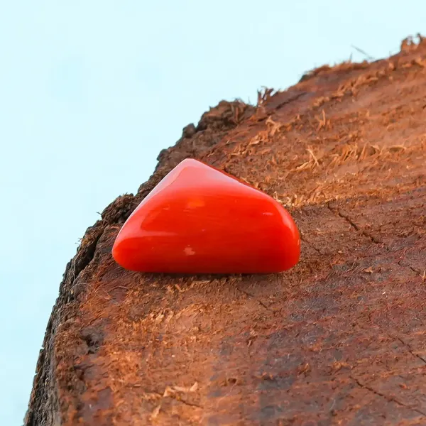 Coral_Natural_Gem_Stone_For_Unisex