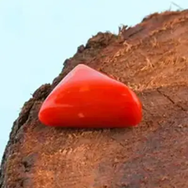 Coral_Natural_Gem_Stone_For_Unisex