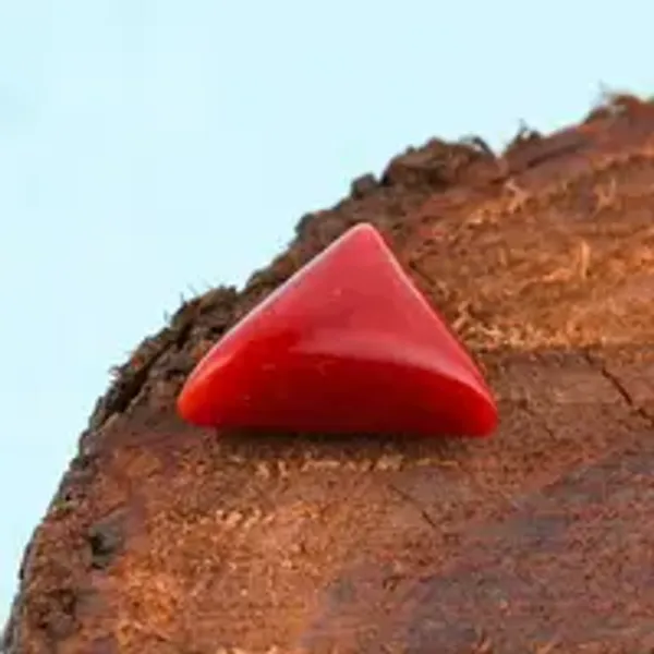 Coral_Natural_Gem_Stone_For_Unisex
