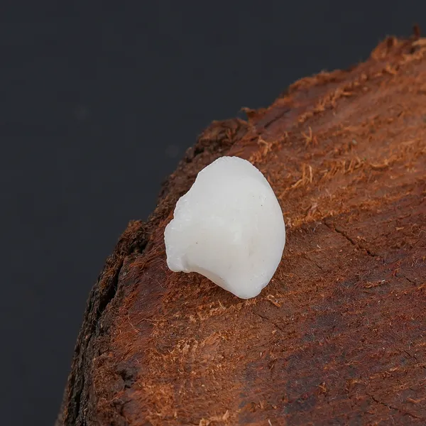 White_Mach_Mani_weight_-_4.50_ct_certificate_number_593062