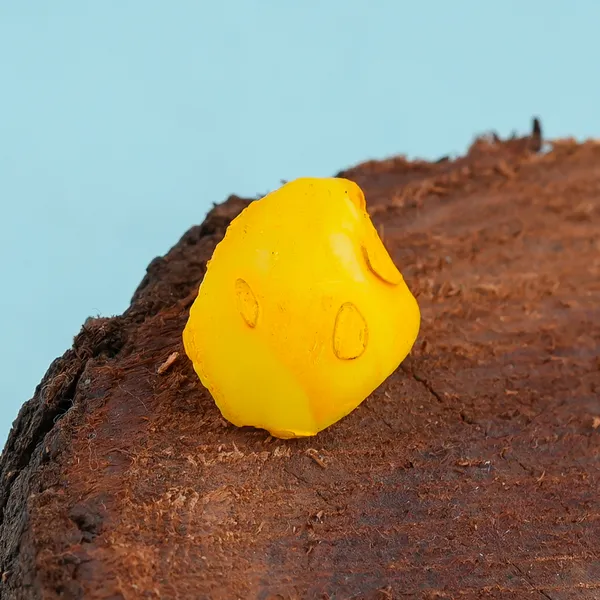 Yellow_Machch_Mani_weight_-6.25_ct_certificate_Number_-593055