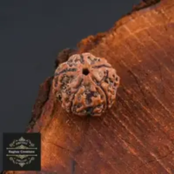 Natural_Certified_5_Face_Rudraksha_Certificate_No_486868