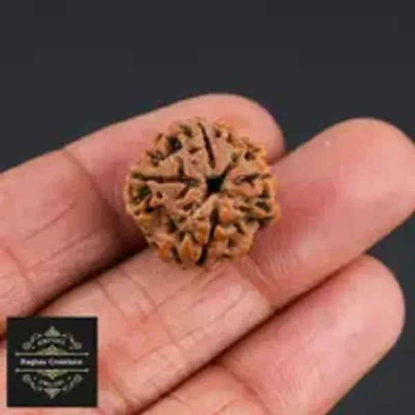 Natural_Certified_4_Face_Rudraksh_Crtificate_No_486965