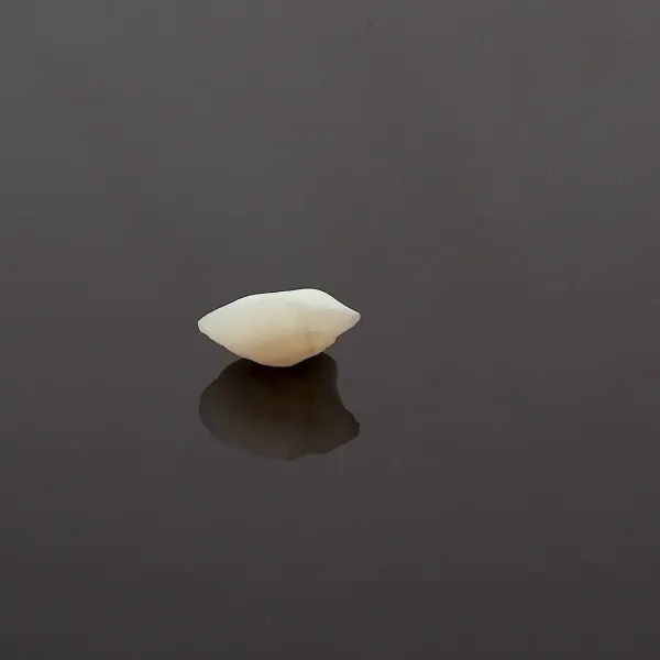Machch_Mani_Natural_Gem_Stone_For_Unisex