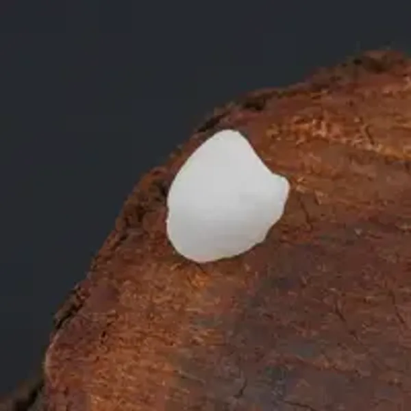 Machch_Mani_Natural_Gem_Stone_For_Unisex