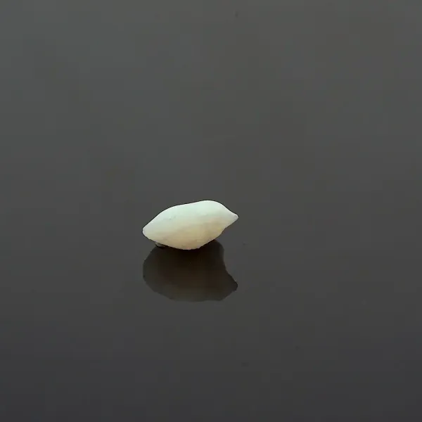 Machch_Mani_Natural_Gem_Stone_For_Unisex