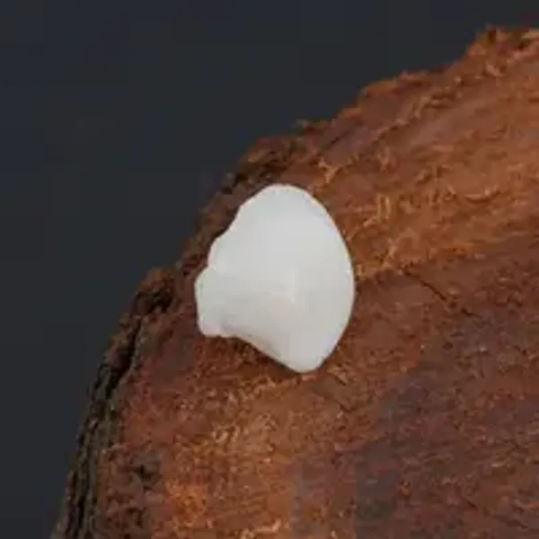 Machch_Mani_Natural_Gem_Stone_For_Unisex