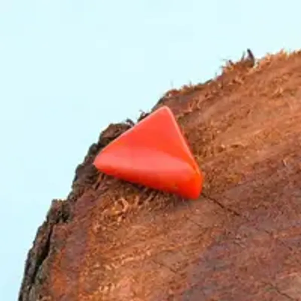 Coral_Moonga_Natural_Gem_Stone_For_Unisex