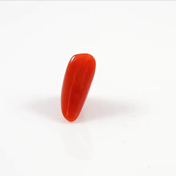 Coral_Moonga_Natural_Gem_Stone_For_Unisex