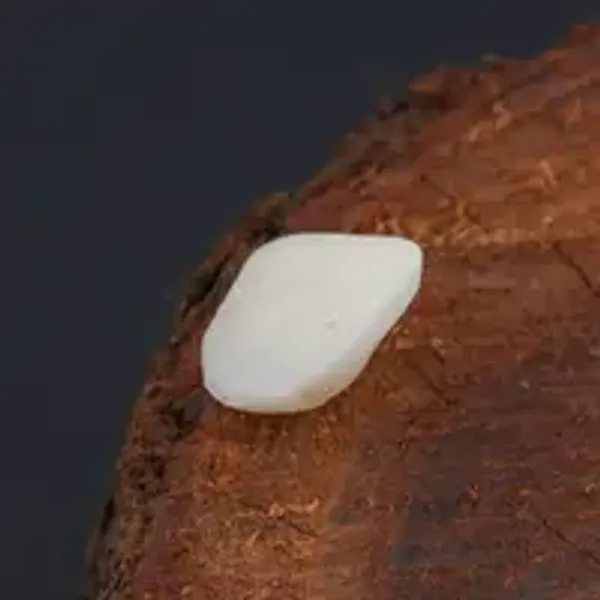 Machch_Mani_Natural_Gem_Stone_For_Unisex