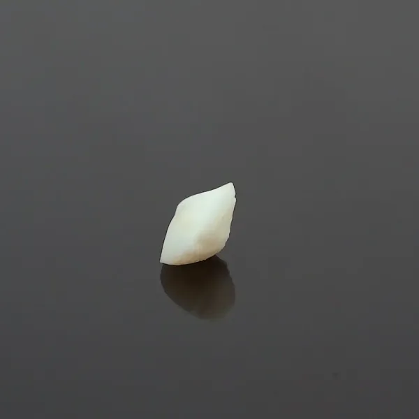 Machch_Mani_Natural_Gem_Stone_For_Unisex