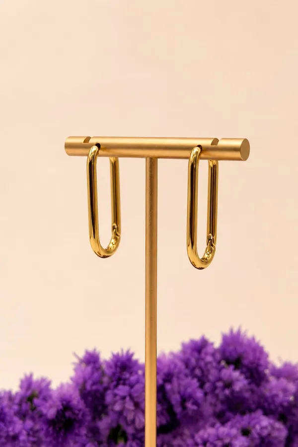 Gold_Stainless_Steel_Earrings_For_Women_